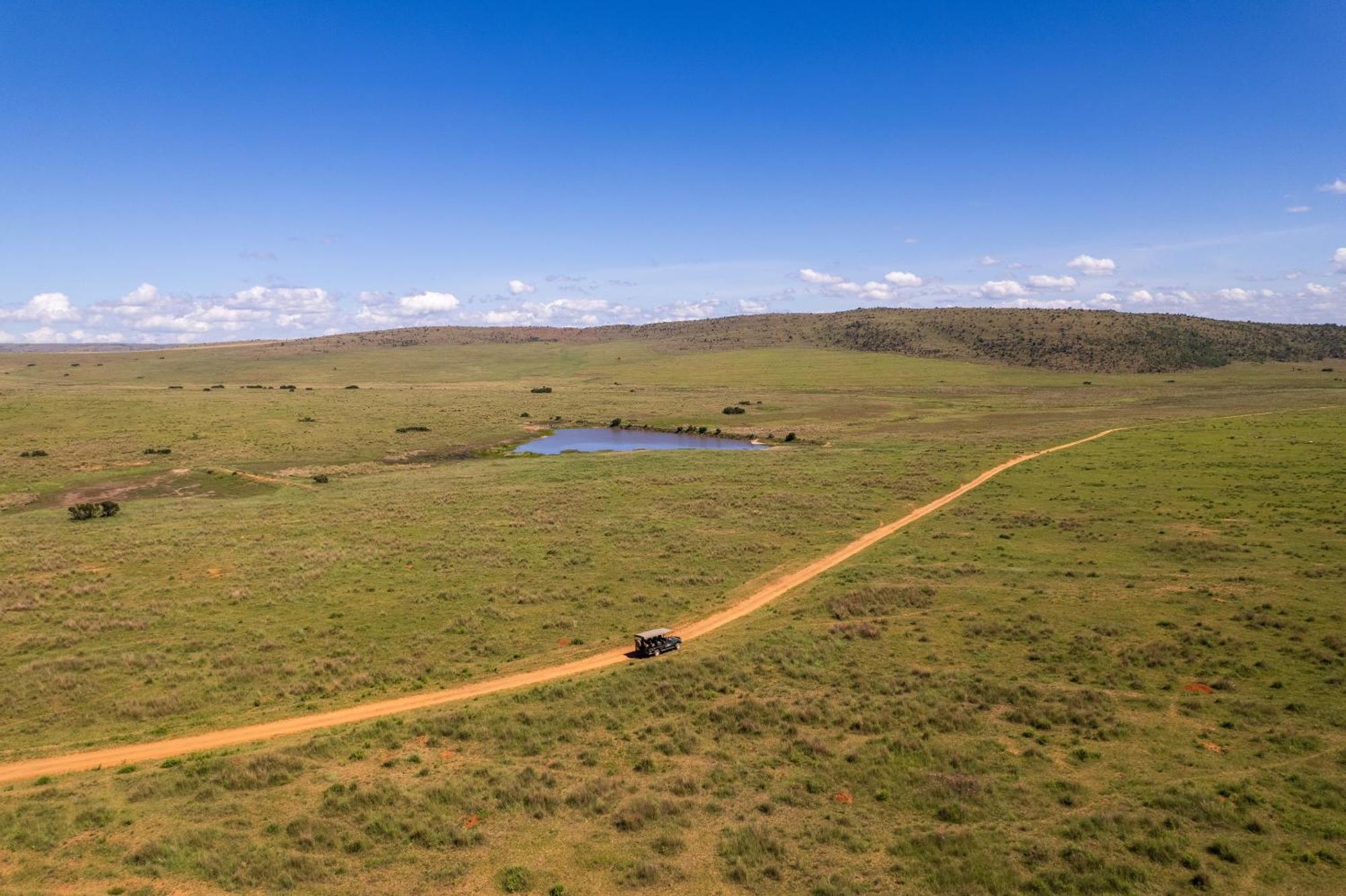 Sediba Luxury Safari Lodge Welgevonden Game Reserve Eksteriør billede