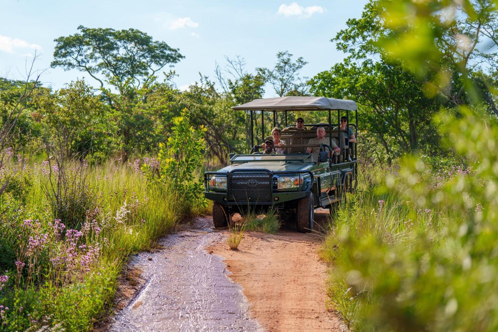 Sediba Luxury Safari Lodge Welgevonden Game Reserve Eksteriør billede
